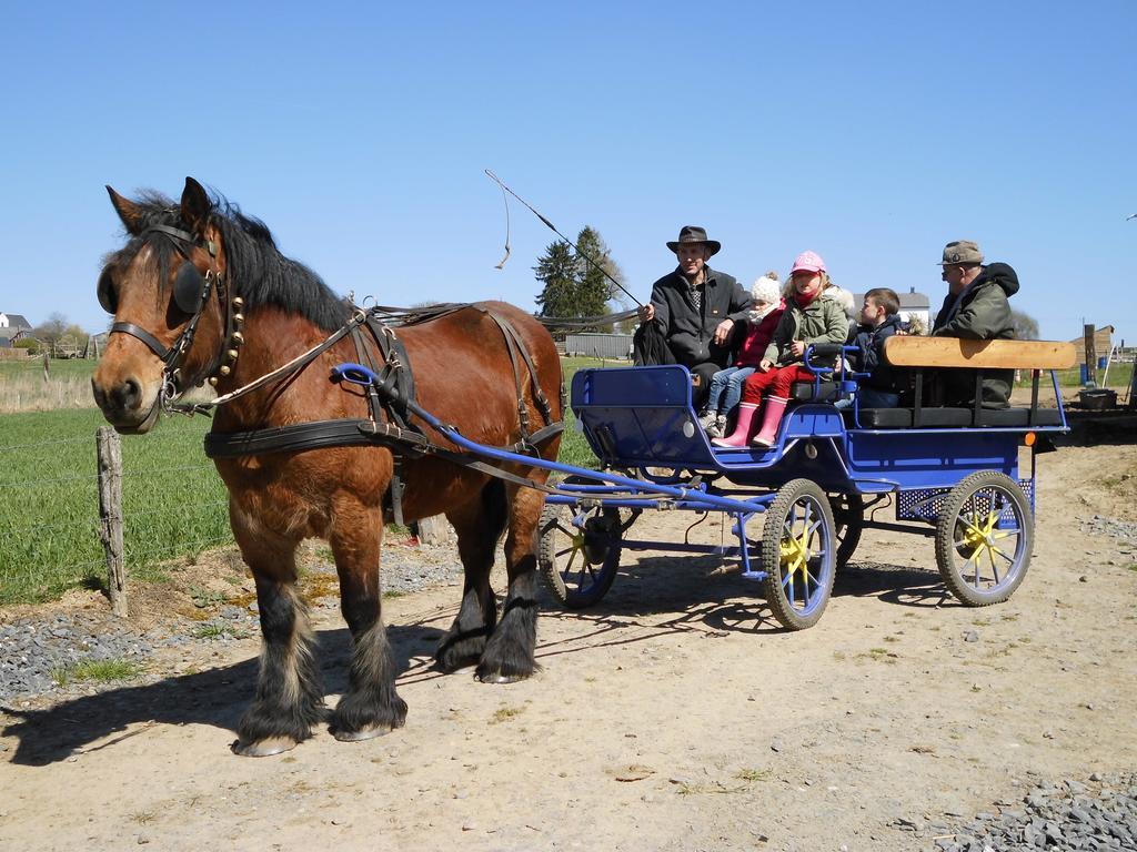 B&B Willow Springs Way Station Gouvy Εξωτερικό φωτογραφία